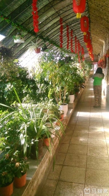 赤峰市饭店老总电话号码是多少-第1张图片