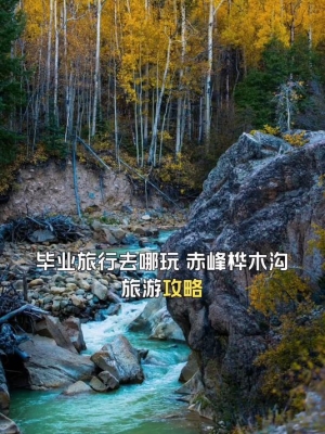 赤峰到沈阳的旅行团电话号码-第1张图片