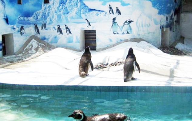 赤峰红山区水族馆电话号码-第1张图片